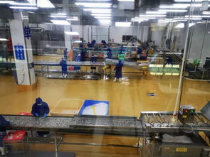 多圖首發(fā)！解密水產(chǎn)智能化工廠(chǎng)與文化館，探索未來(lái)水產(chǎn)新生態(tài)